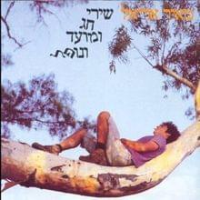 Album cover art for "Tipesh Haham - טיפש חכם" by Meir Ariel - מאיר אריאל