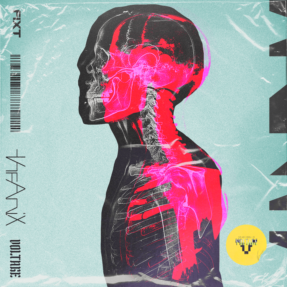 Album cover art for "XRAY" by The Anix