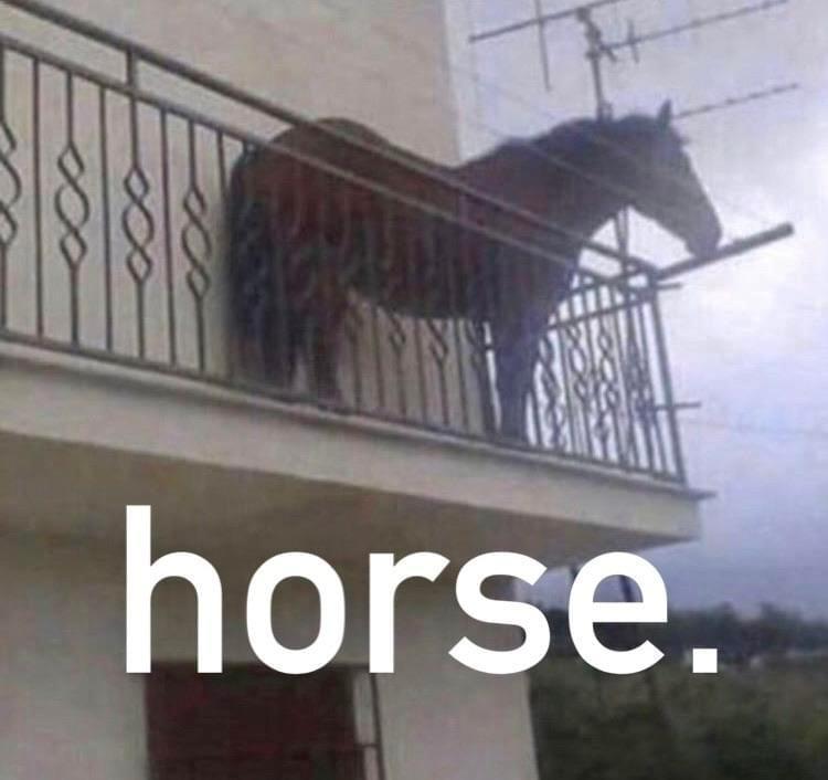 Album cover art for "Favorite horses of Genius Users" by CarsonTheGamer