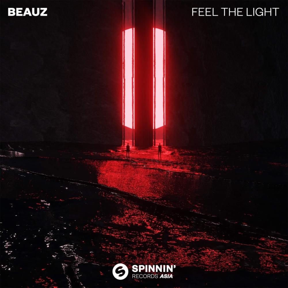 Cover image for Feel The Light