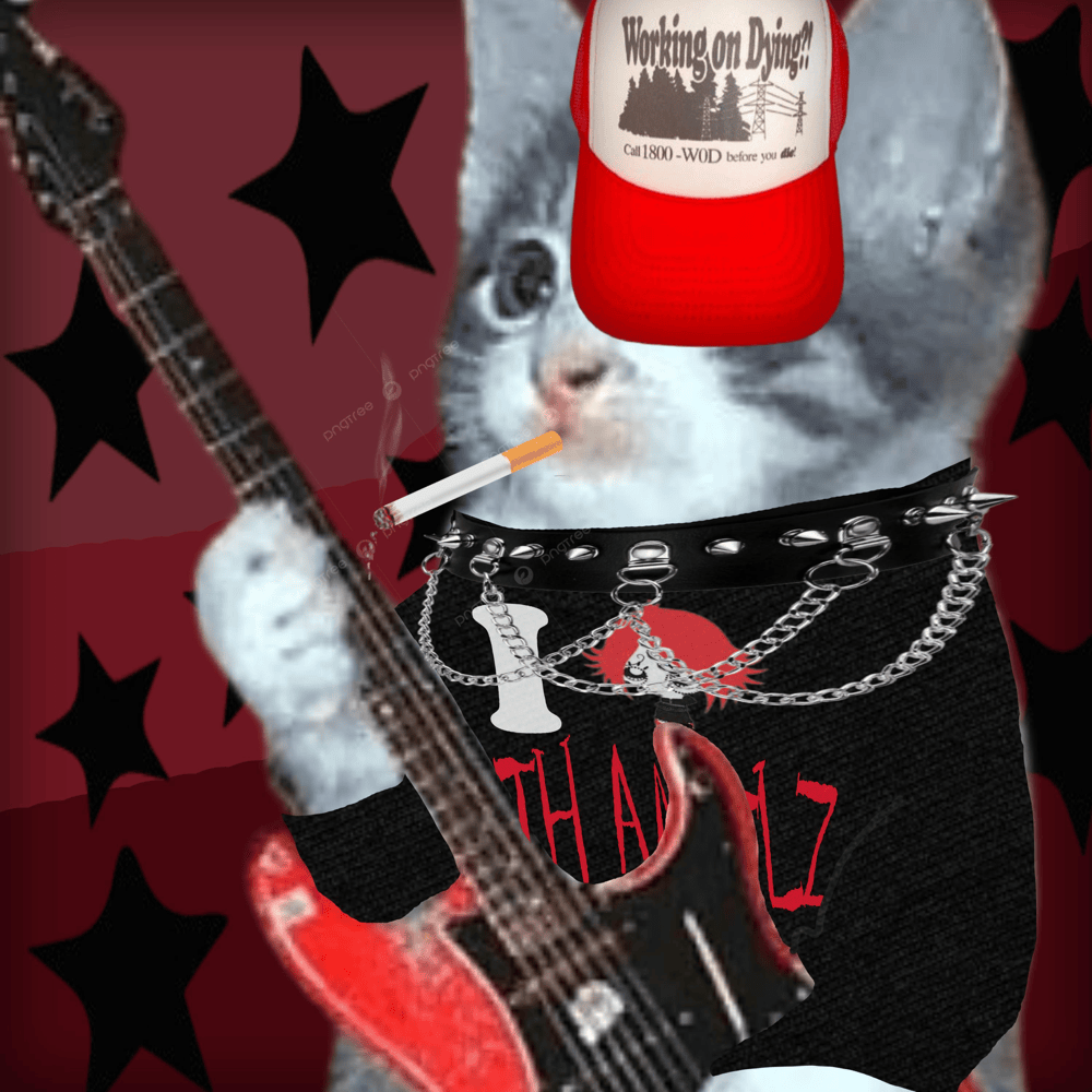 Cover image for i fucking hate fiona gallagher