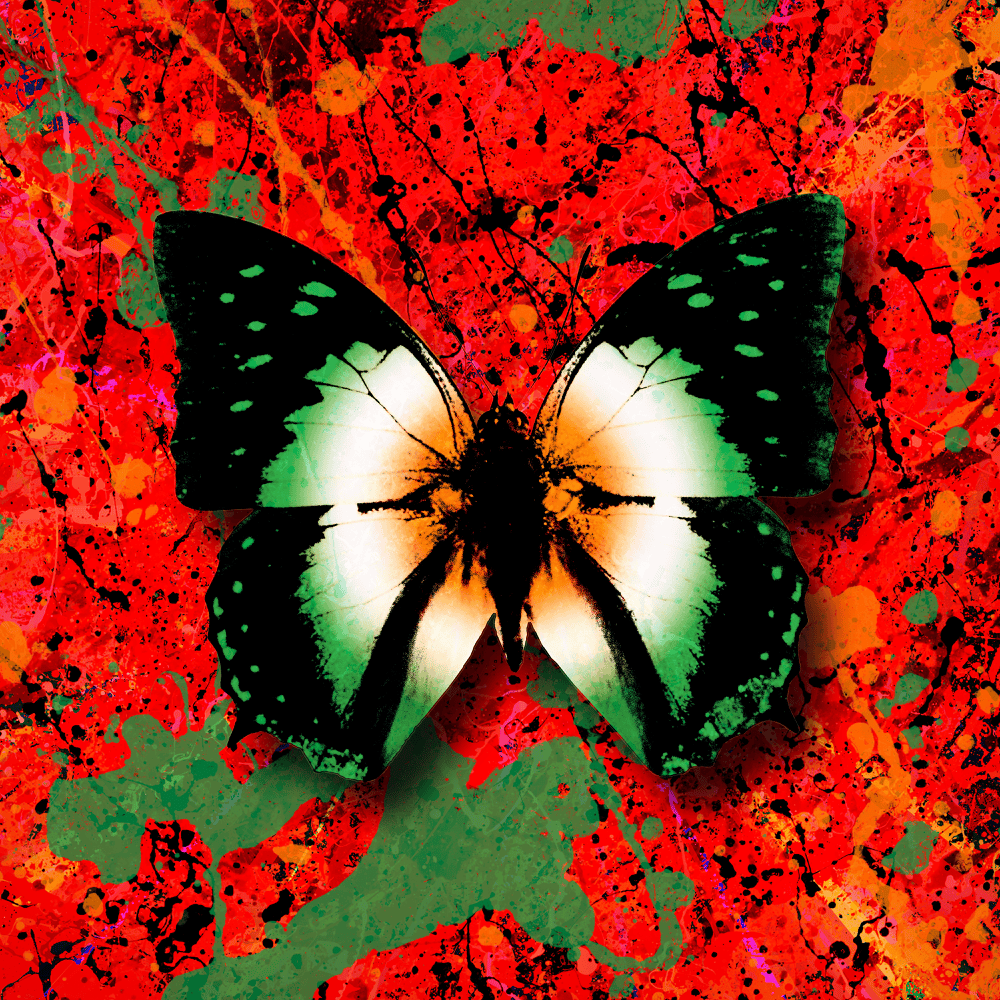 Album cover art for "2step (Irish Remix)" by Ed Sheeran & Denise Chaila