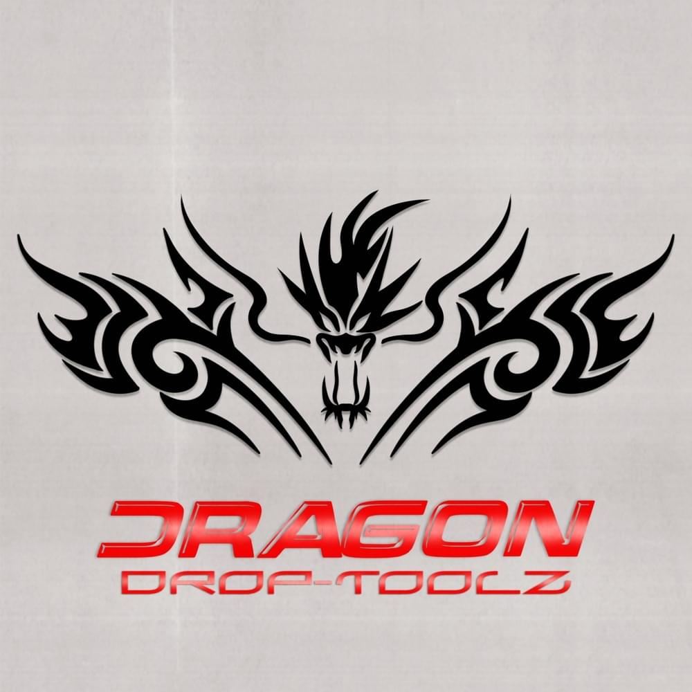 Album cover art for "Dragon Drop-Toolz" by Donor Lens