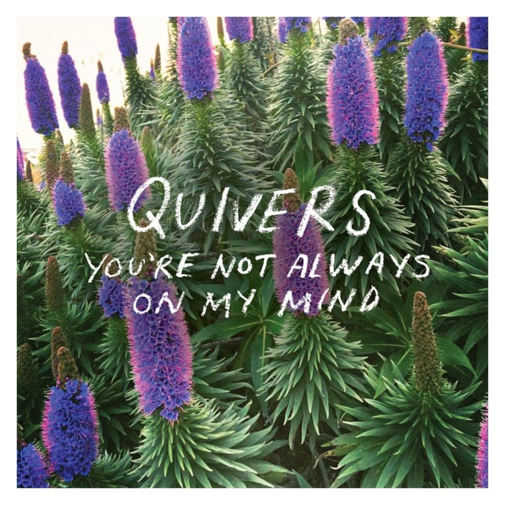 You’re Not Always On My Mind by Quivers