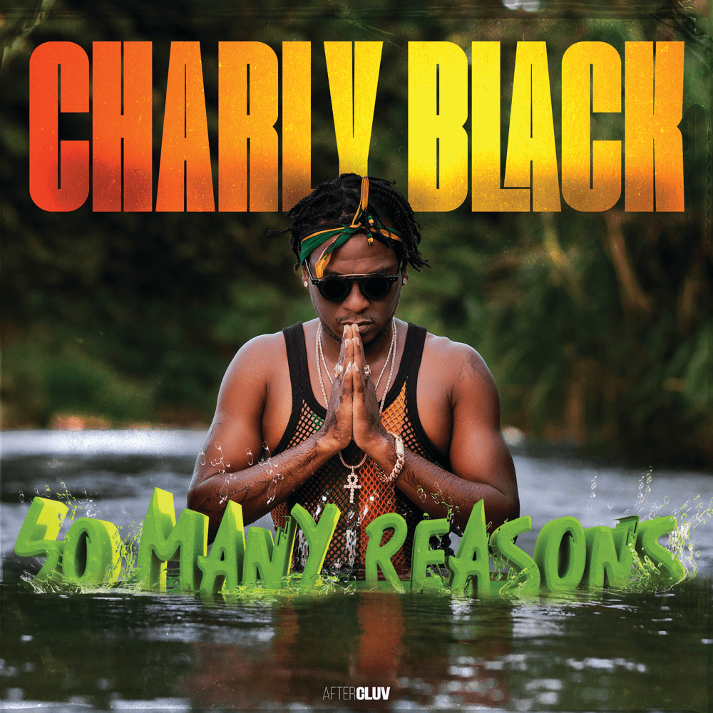 Cover image for So Many Reasons