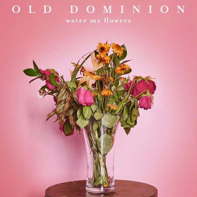 Album cover art for "Water My Flowers" by Old Dominion