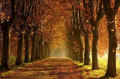Album cover art for "Chant d’automne" by Charles Baudelaire