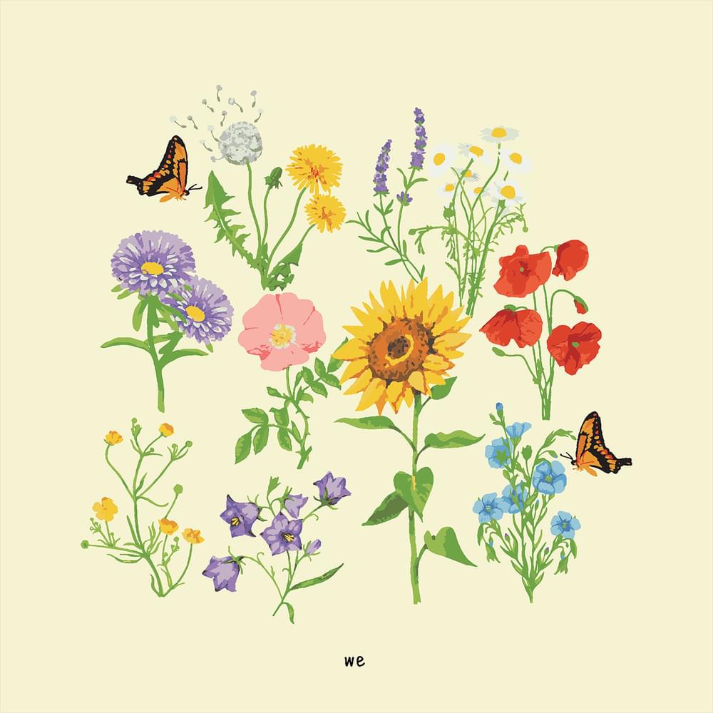 Cover image for we