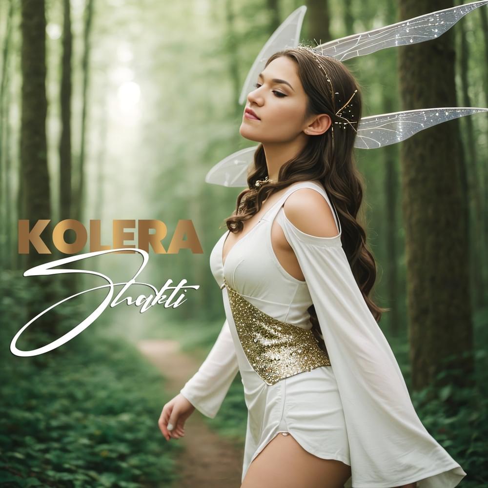 Cover image for Shakti
