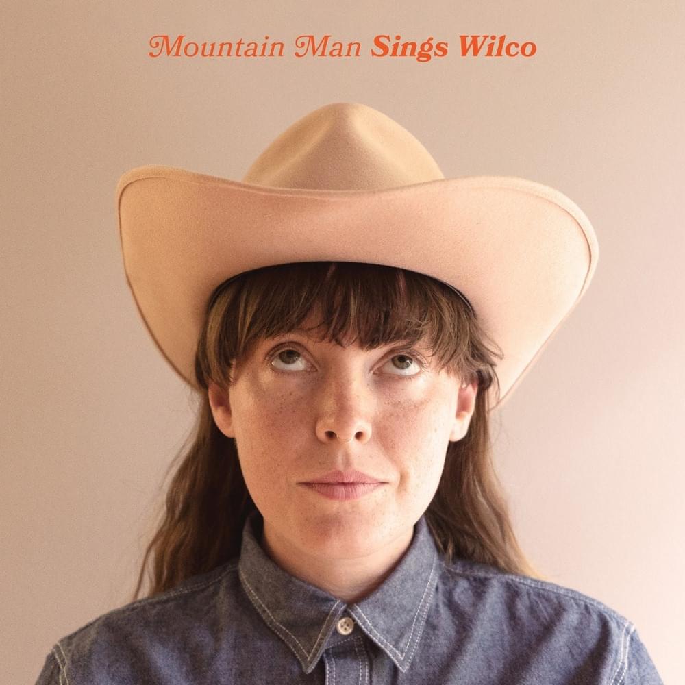Cover image for Sings Wilco