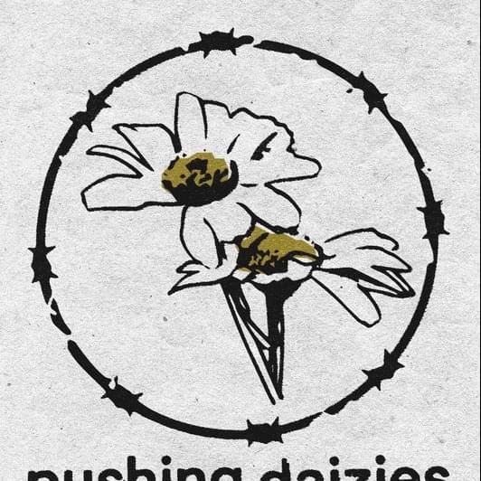 Cover image for Pushing Daizies