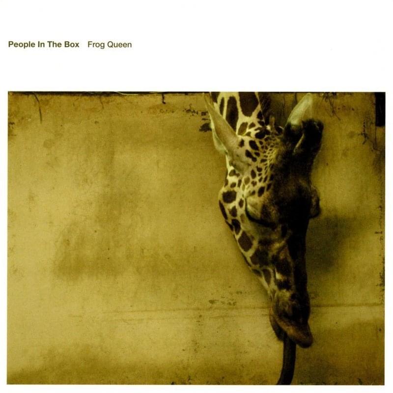 Cover image for Frog Queen