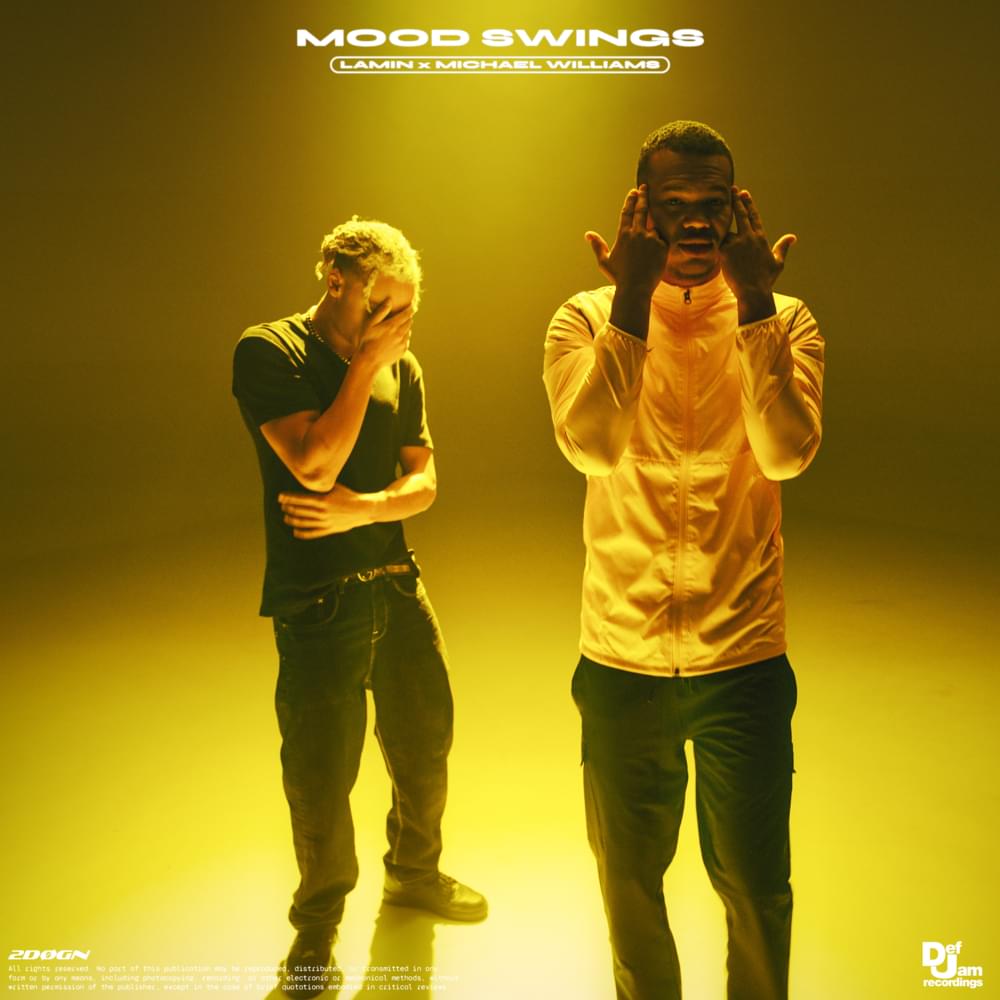 Album cover art for "Mood Swings" by Lamin