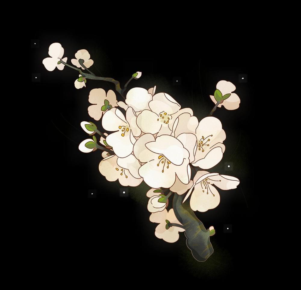 Album cover art for "Jerte" by Tancla