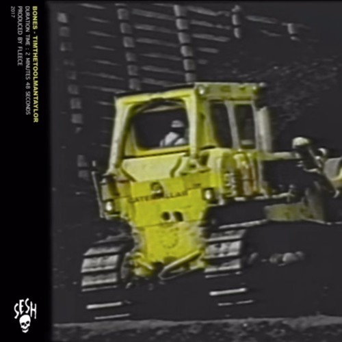 Album cover art for "TimTheToolmanTaylor" by BONES