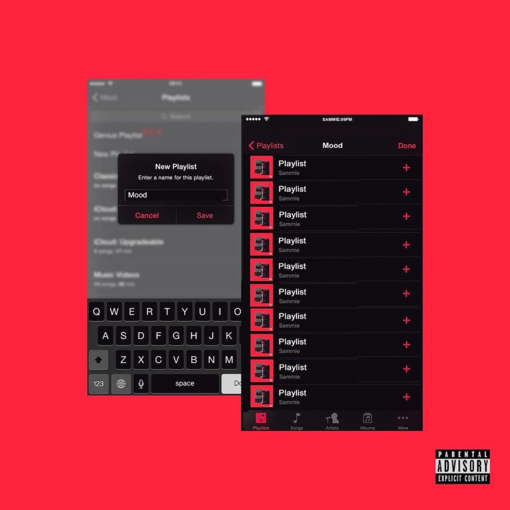 Album cover art for "Playlist" by Sammie
