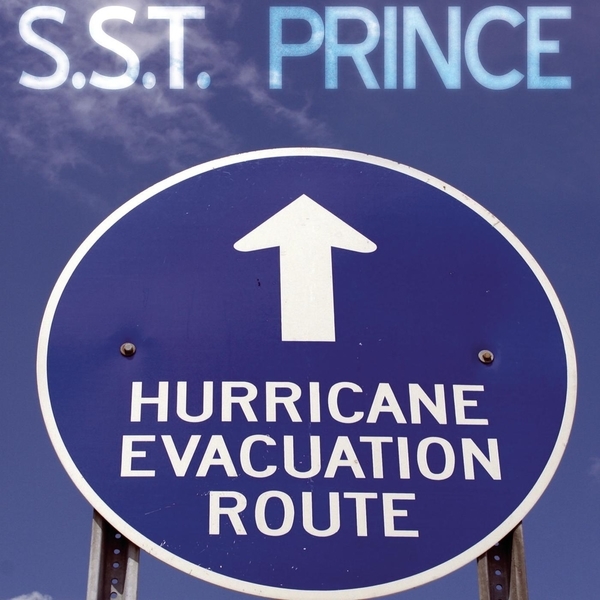Album cover art for "Brand New Orleans" by Prince