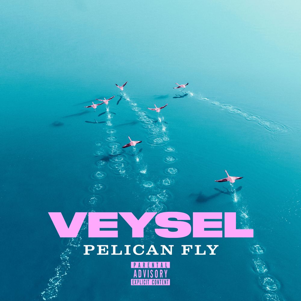 Album cover art for "PELICAN FLY" by Veysel