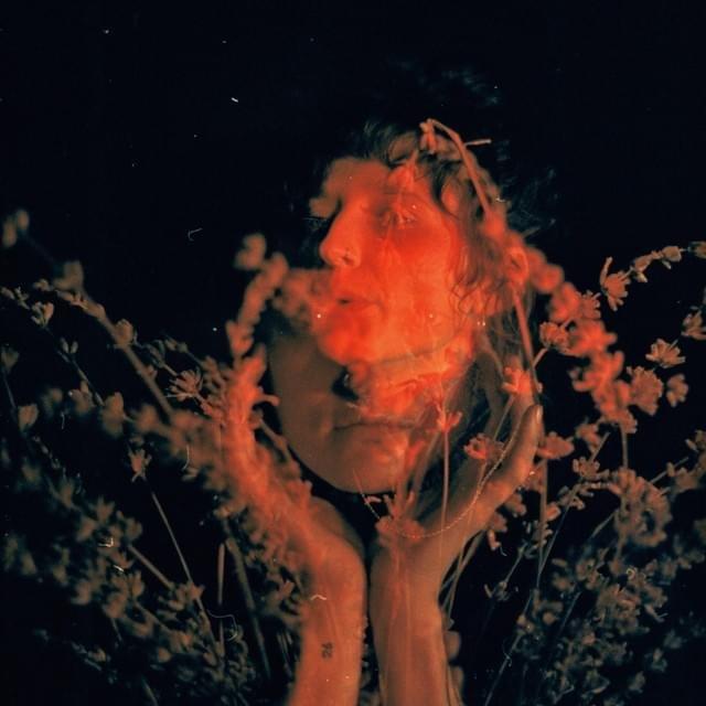Cover image for Salvador Dali