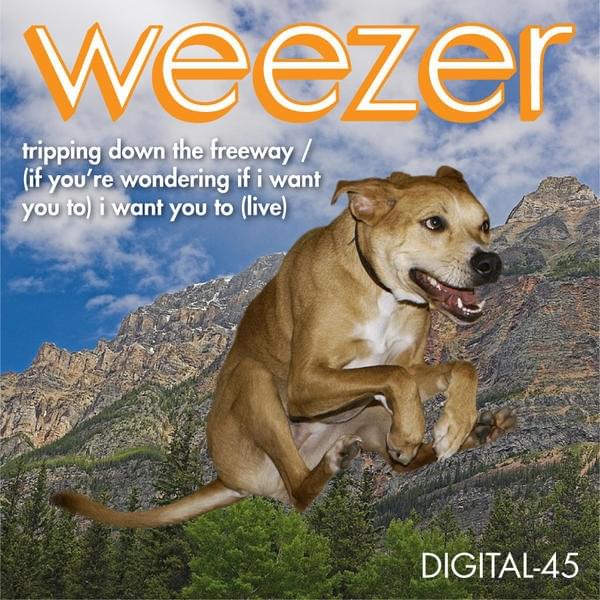 Album cover art for "Trippin’ Down the Freeway" by Weezer