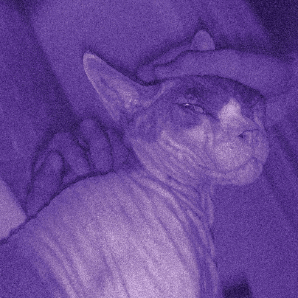 Album cover art for "Cum Laude" by José Madero