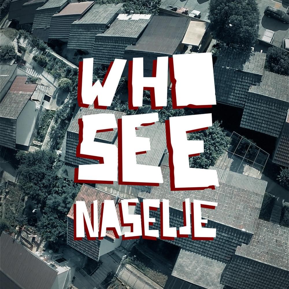 Album cover art for "Naselje" by Who See