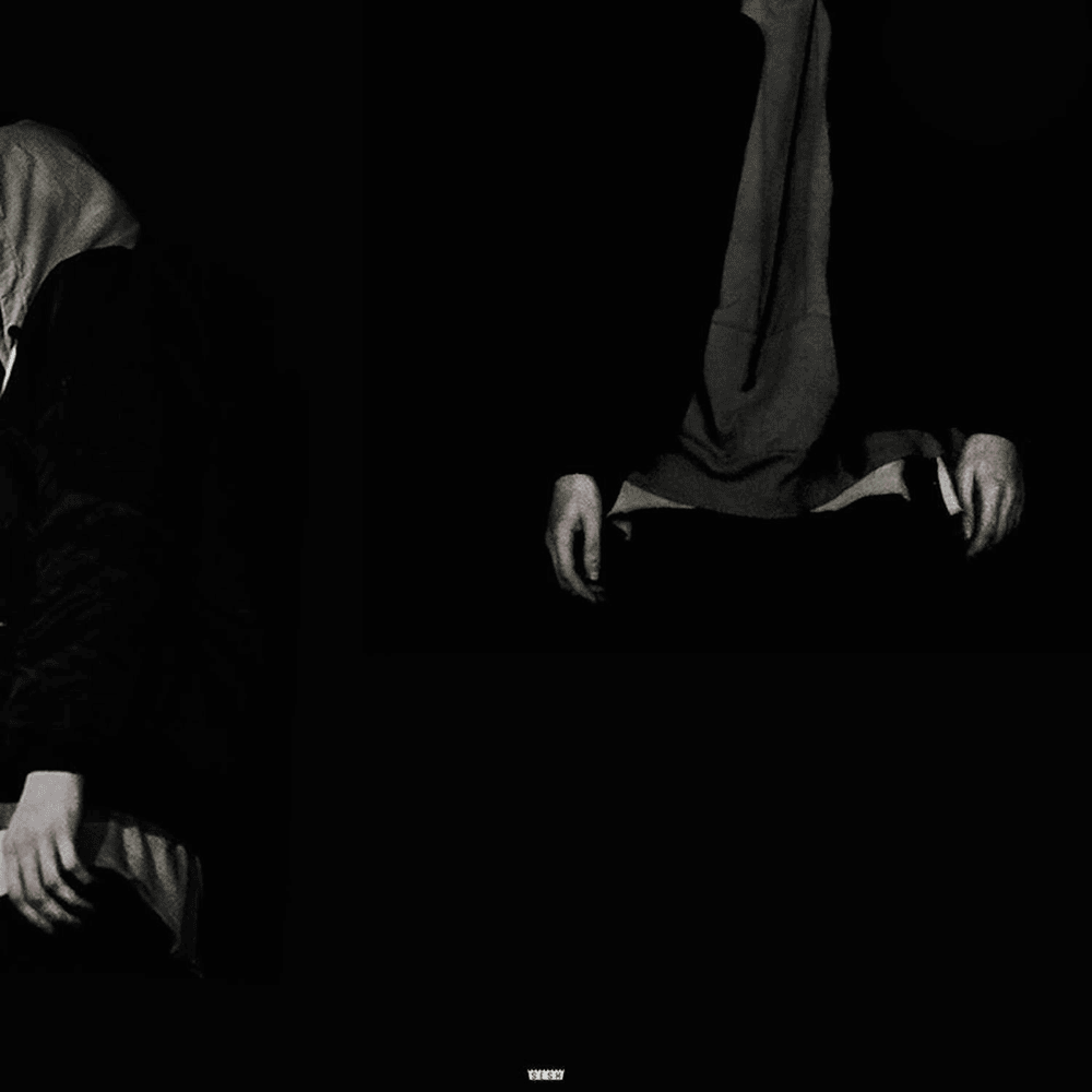 Cover image for Useless