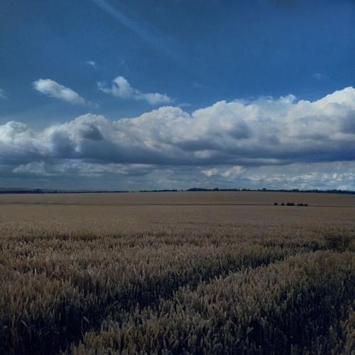 Album cover art for "Cloudley" by Pogo