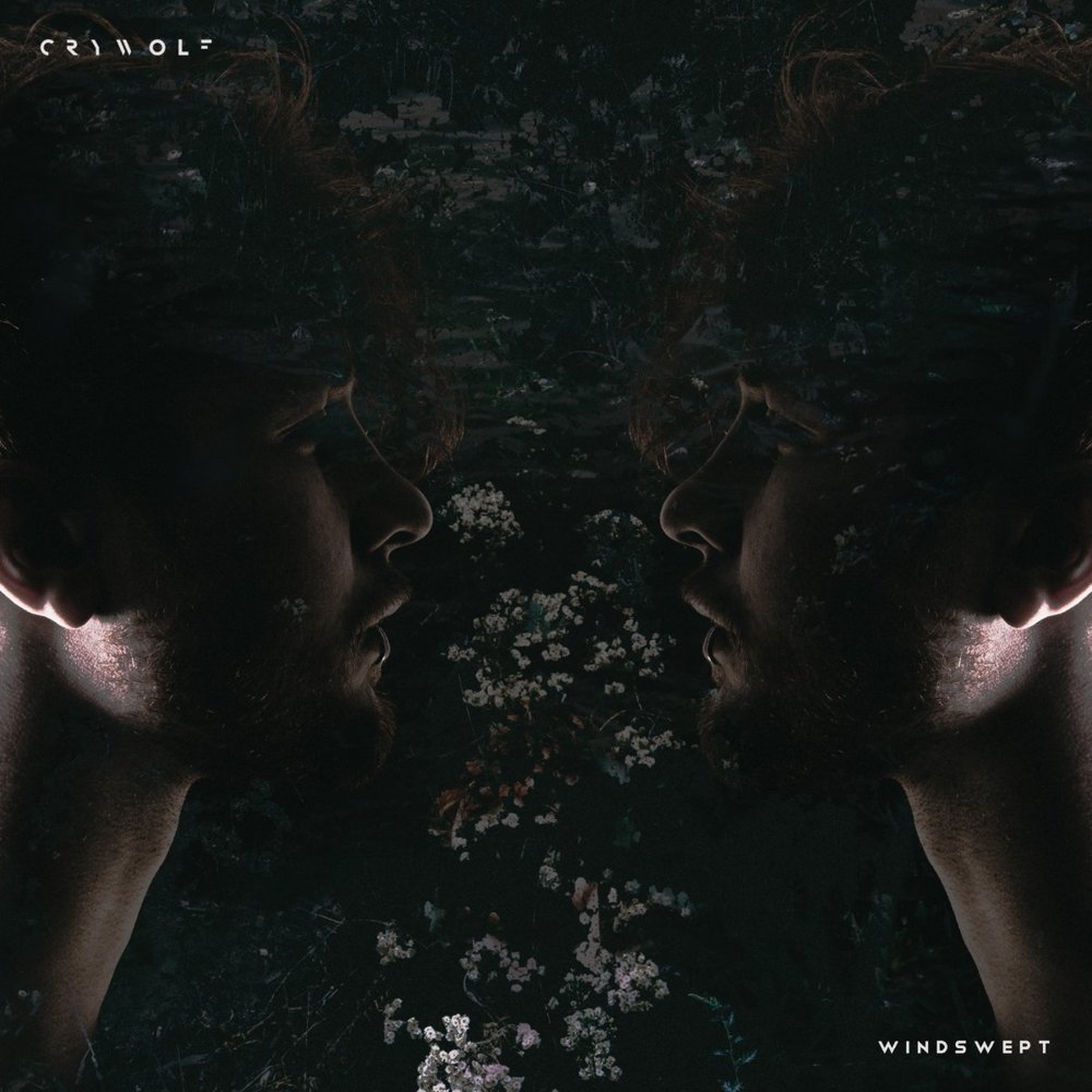 Windswept by Crywolf