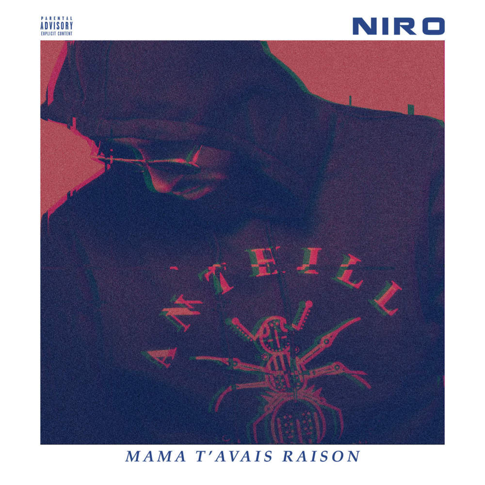Mama t’avais raison by Niro