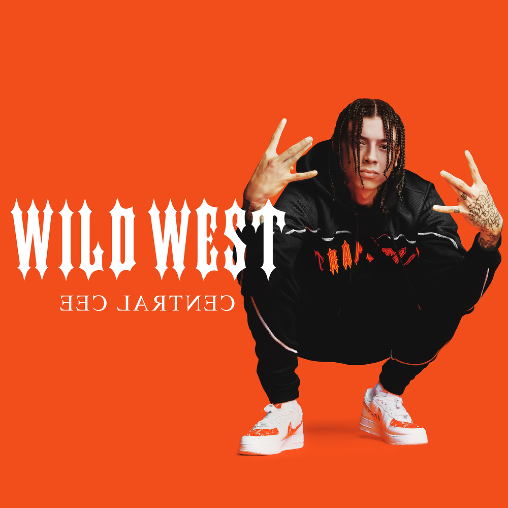 Cover image for Wild West