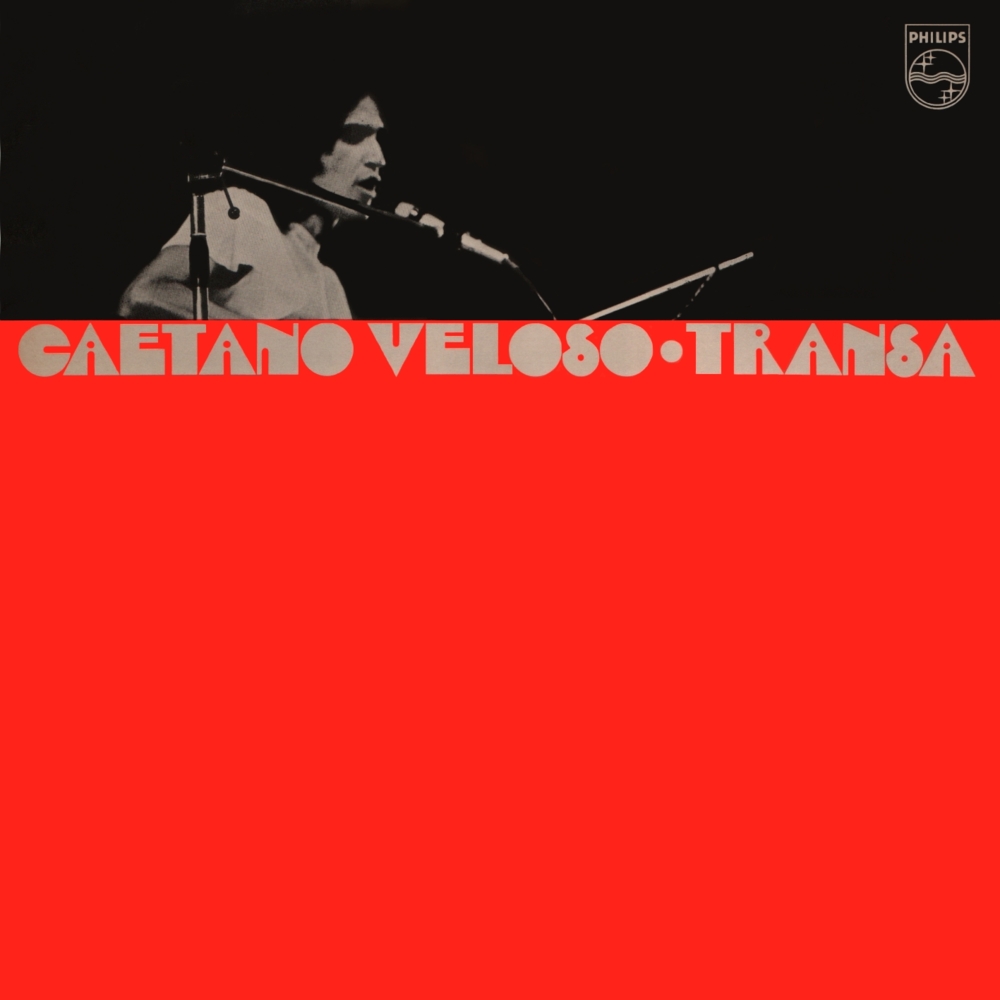 Album cover art for "Neolithic Man" by Madlib & Gal Costa