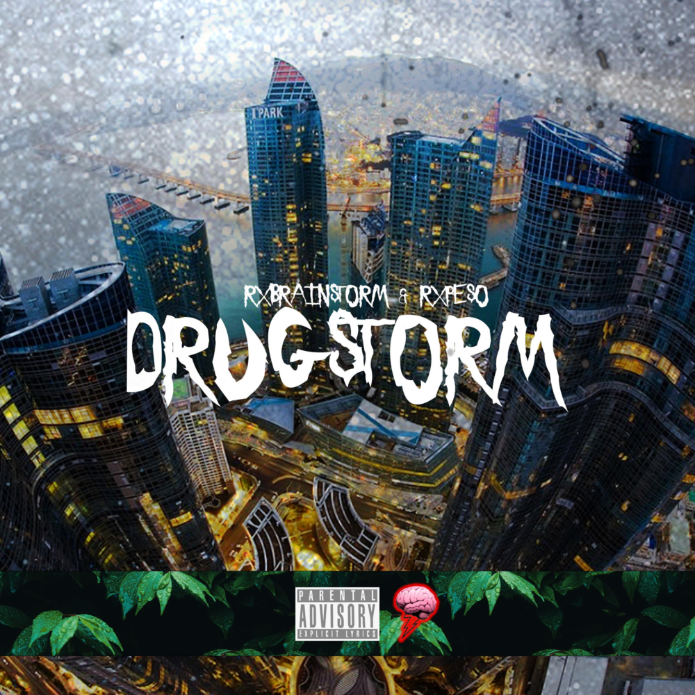 Cover image for Drug Storm