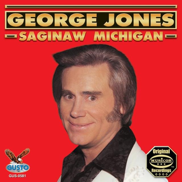Cover image for Saginaw Michigan