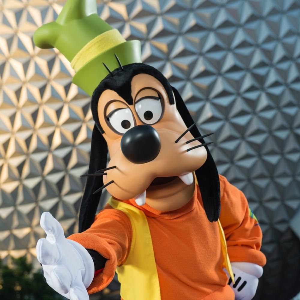 Goofy Profile Picture Photo of Goofy
