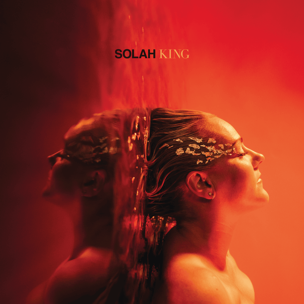 Cover image for King