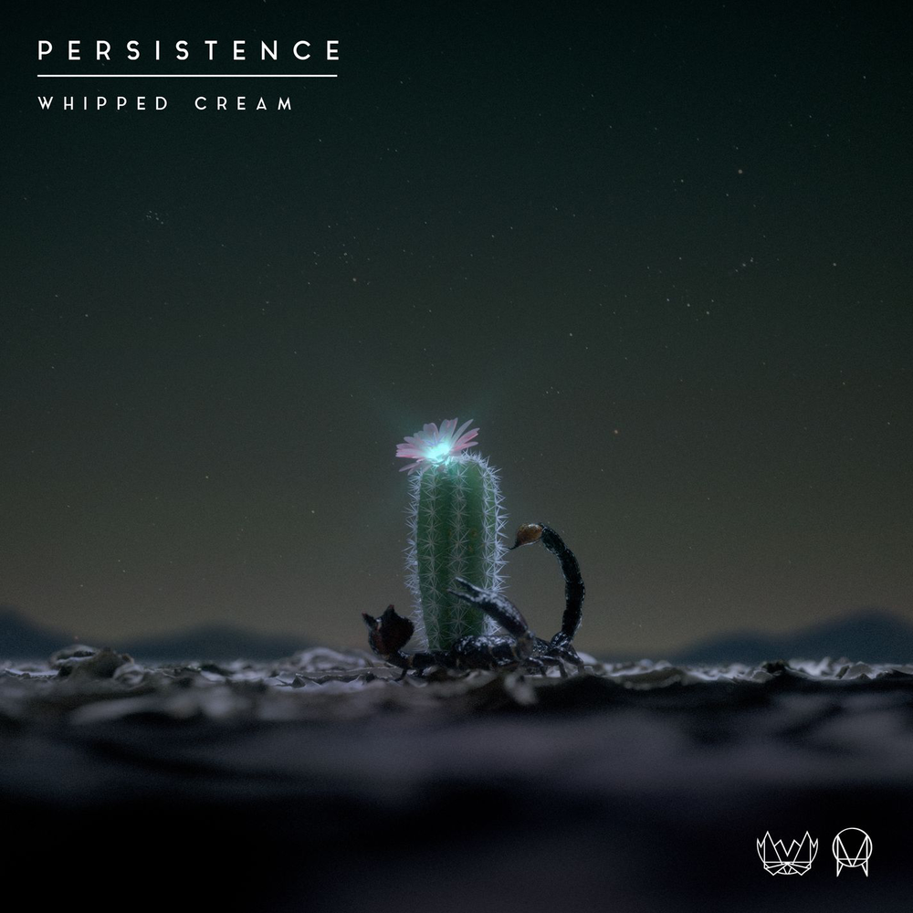 Cover image for Persistence