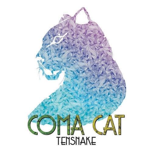 Album cover art for "Coma Cat" by Tensnake