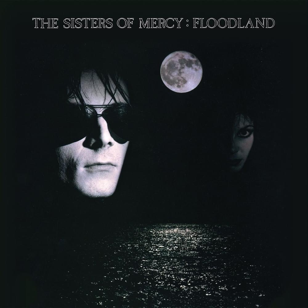 Cover image for Floodland