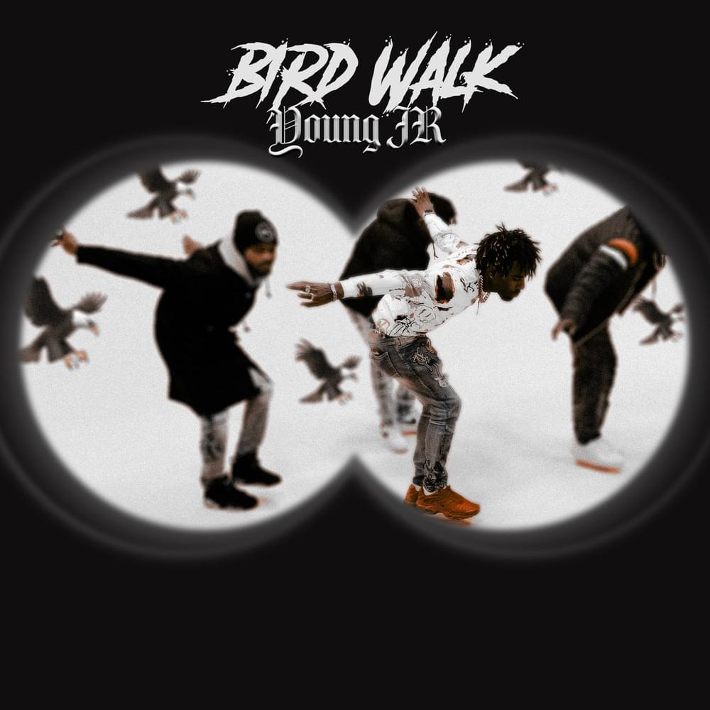 Album cover art for "Bird Walk" by YOUNG JR