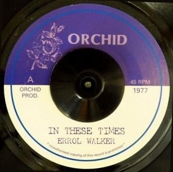 In These Times by Errol Walker