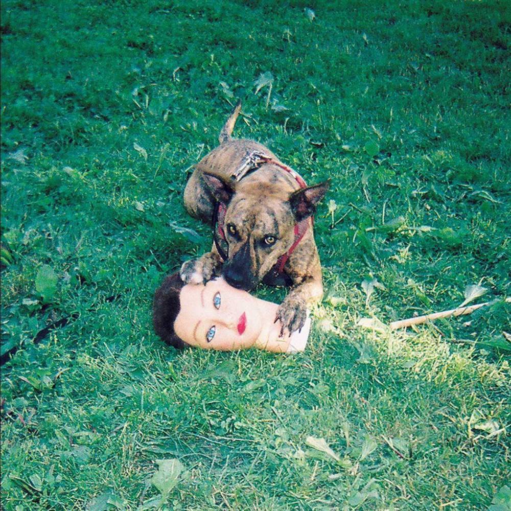 Album cover art for "Make Me Dumb" by Joyce Manor