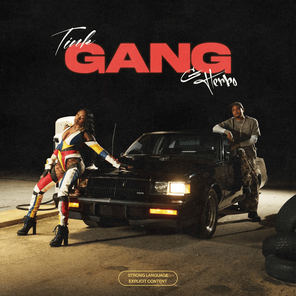 Album cover art for "GANG" by Tink