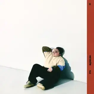Album cover art for "Fool" by Verzache