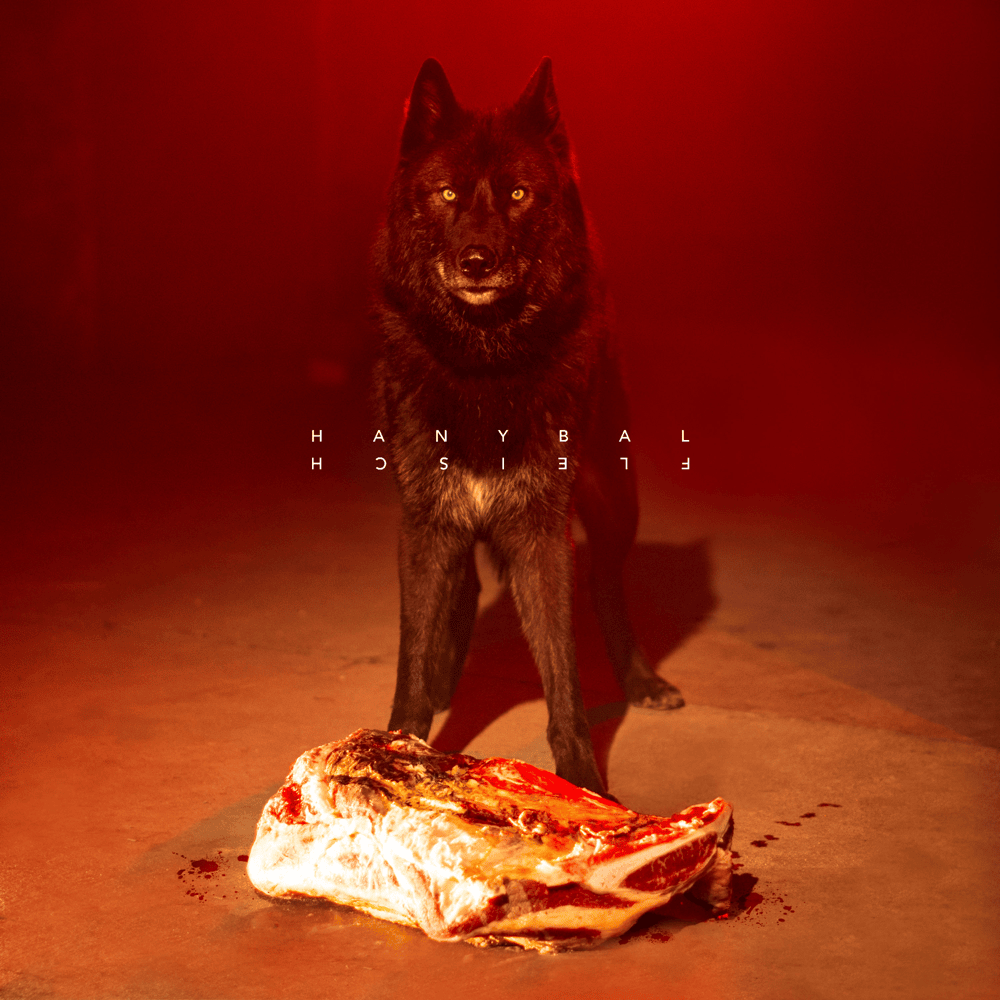 Cover image for Fleisch