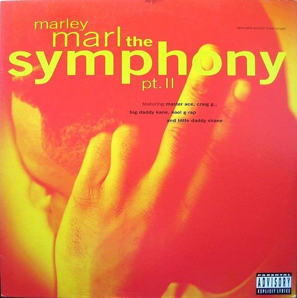 Album cover art for "The Symphony Part II" by Marley Marl & Masta Ace & Craig G & Big Daddy Kane & Kool G Rap & Daddy Shane