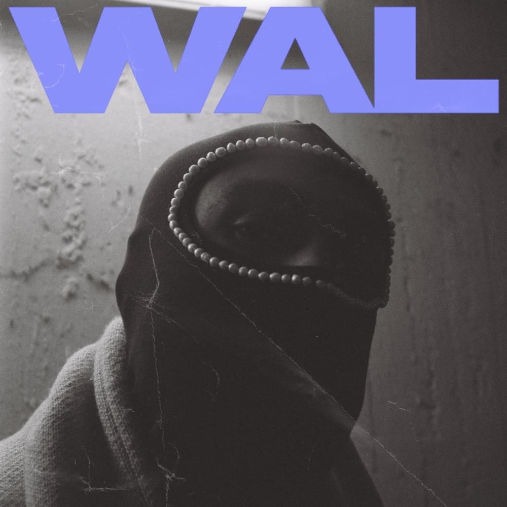 Album cover art for "Wal" by Holy Modee