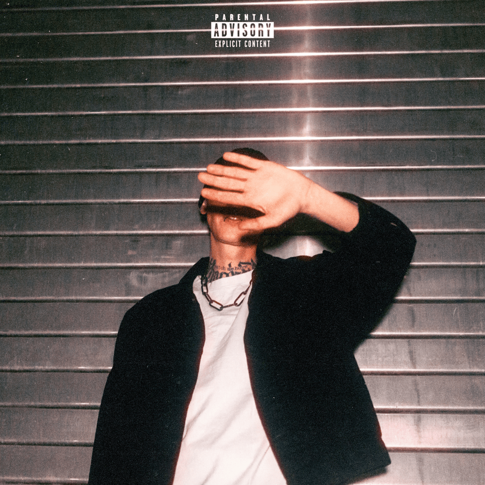 Album cover art for "Skalp" by duzoe