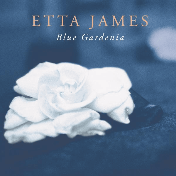 Album cover art for "My Man" by Etta James