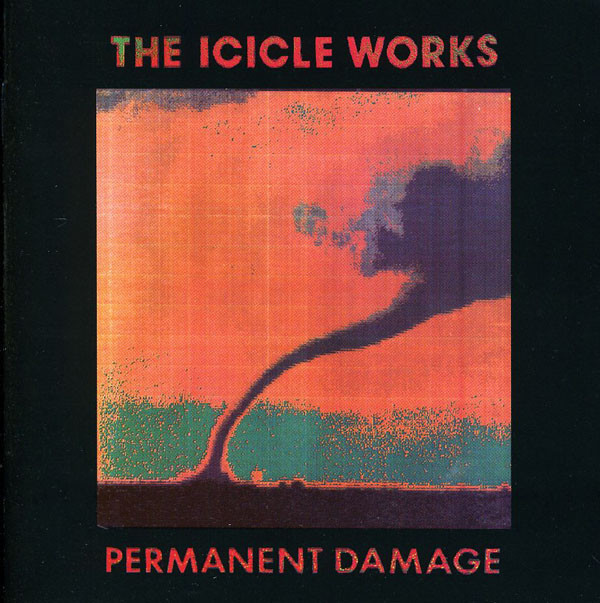 Cover image for Permanent Damage